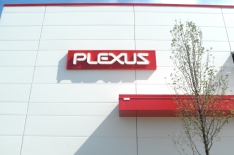 plexus1